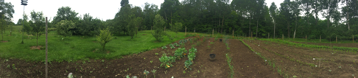 panoramic photo of my parents' garden in Vermont