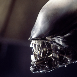 Xenomorph!