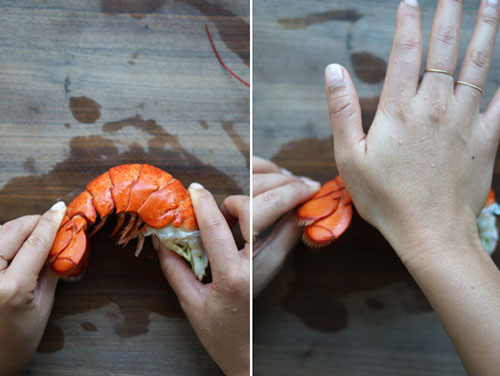 Detailing a lobster | Tacky Harper's Cryptic Clues Detailing a lobster | Tacky Harper's Cryptic Clues