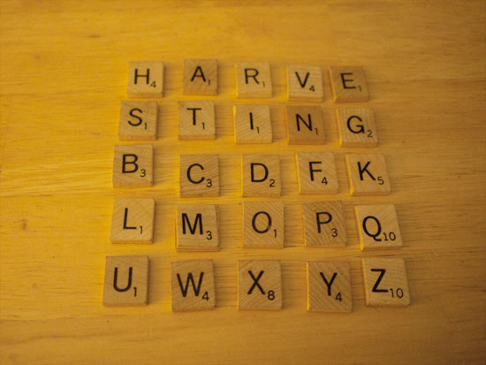 The Playfair Square Solution | Harper's October 2014 | Tacky Harper's Cryptic Clues