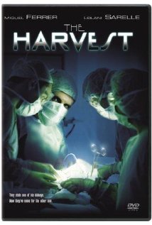 The Harvest | Tacky Harper's Cryptic Clues The Harvest | Tacky Harper's Cryptic Clues
