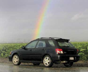 Gay Subaru | Tacky Harper's Cryptic Clues Gay Subaru | Tacky Harper's Cryptic Clues