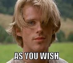 As you wish | Wesley | The Princess Bride As you wish | Wesley | The Princess Bride