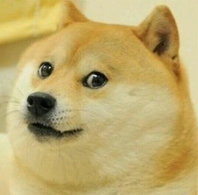 doge! | Tacky Harper's Cryptic Clues doge! | Tacky Harper's Cryptic Clues
